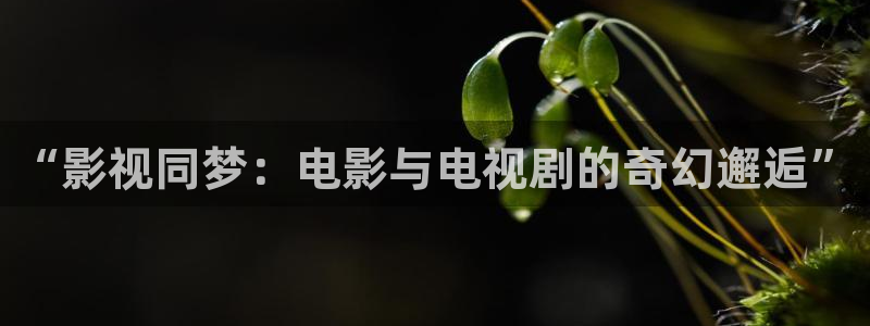 国产草草影院ccyycom：“影视同梦：电影与电视剧的奇幻邂逅”