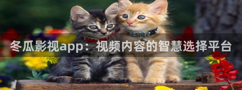 草草影院www色欧美极