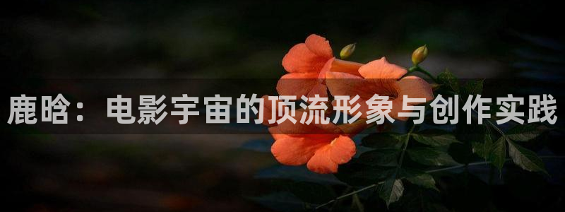 草草影院永久路线发布：鹿晗：电影宇宙的顶流形象与创作实践