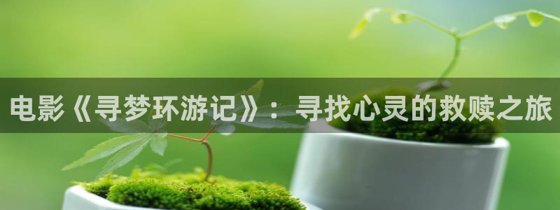 草草影院国产：电影《寻梦环游记》：寻找心灵的救赎之旅