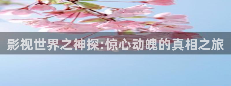 sp86草草影院：影视世界之神探:惊心动魄的真相之旅