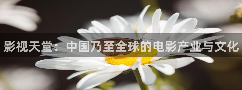 草草色影院：影视天堂：中国乃至全球的电影产业与文化