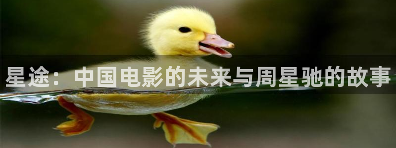 欧洲草草影院：星途：中国电影的未来与周星驰的故事