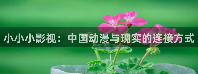国产第一页草草影院：小小小影视：中国动漫与现实的连接方式