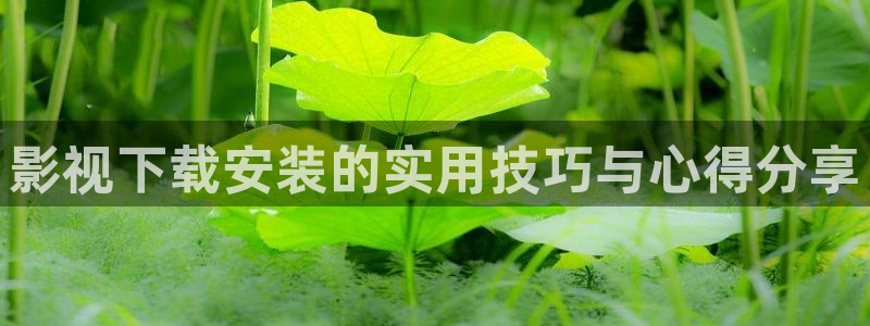 草草影院发布页